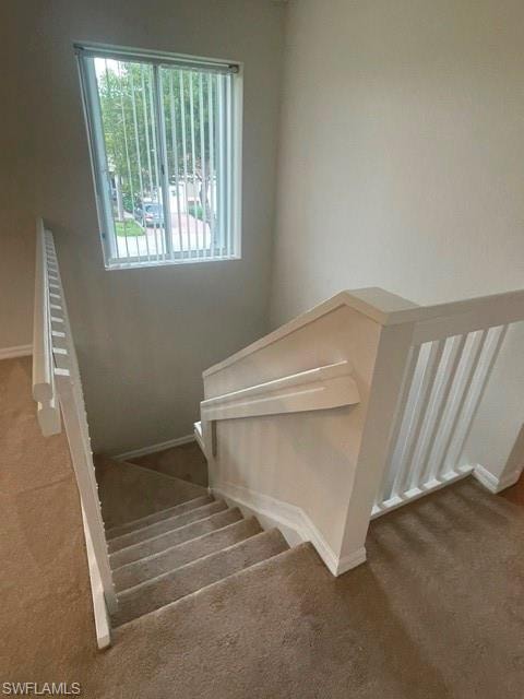 Stairs down from Den