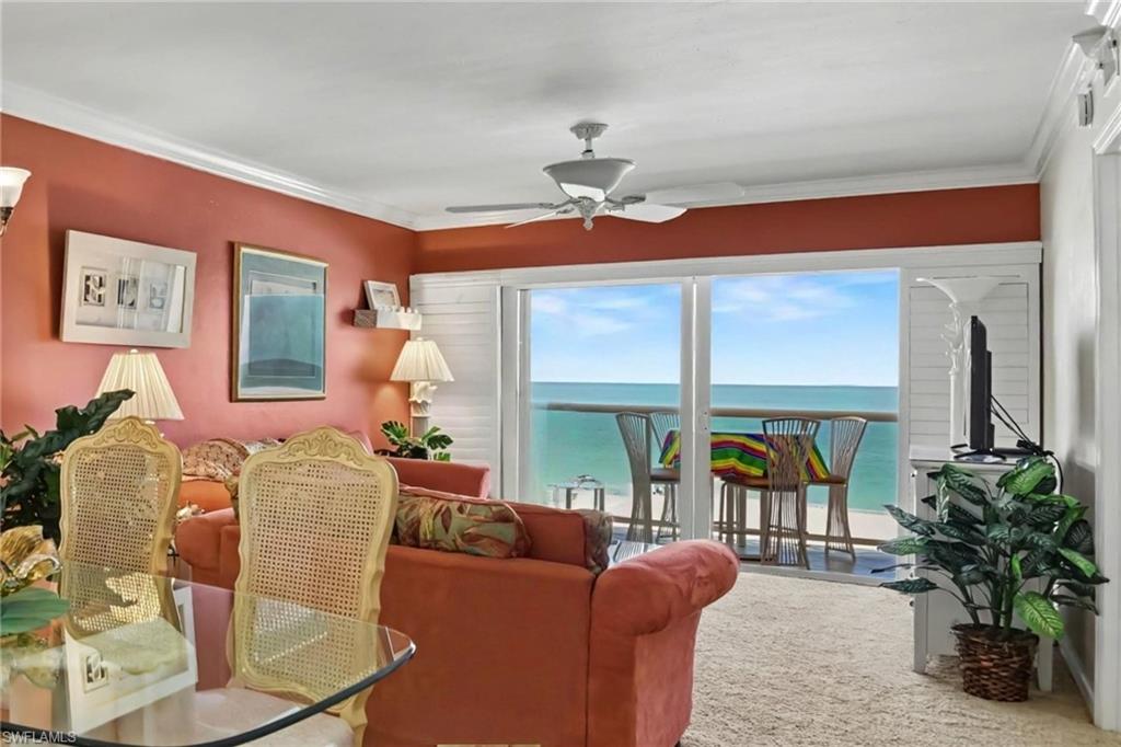 THERE'S THAT GULF VIEW AGAIN!