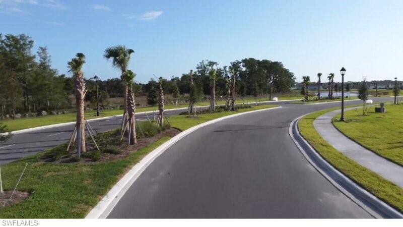 Paved roadway with concrete sidewalks, manicured green spaces, and mature palm trees