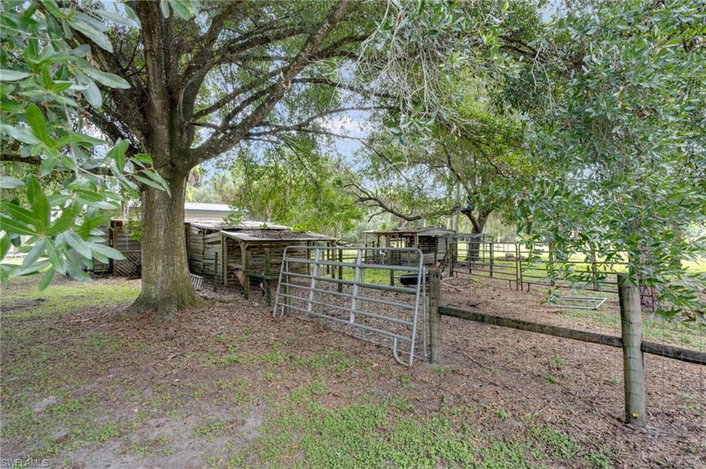 4613 Orange River Loop RD photo 29
