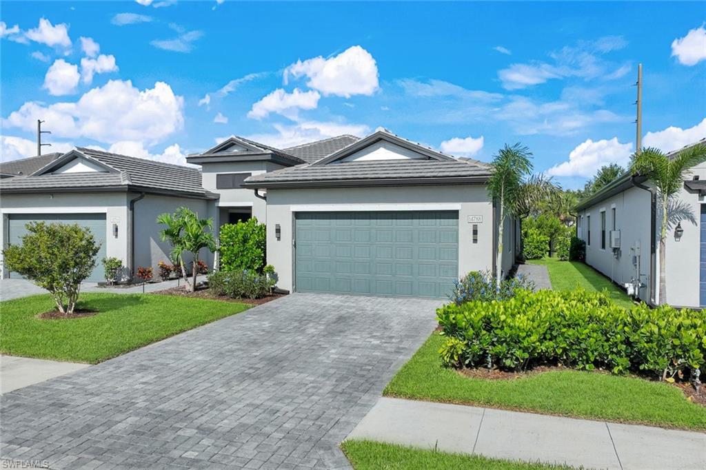 14788 Kingfisher LOOP
