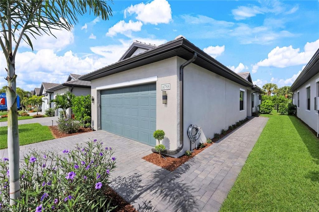 14788 Kingfisher LOOP