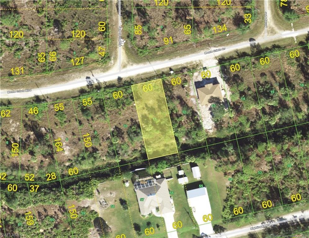Parcel Map. Displaying lot dimensions and property boundaries for the specified location