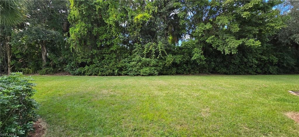 Private wooded back yard