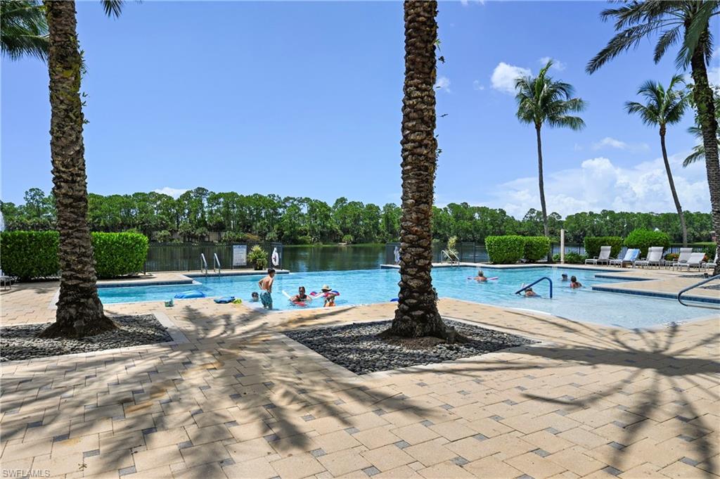 Resort-style swimming pool with integrated tanning ledge, surrounded by paver decking, and mature palm trees