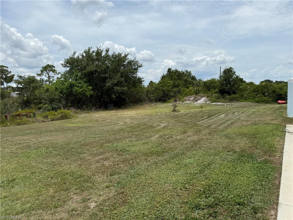Spacious grass lot with natural tree-lined perimeter, offering ample outdoor area