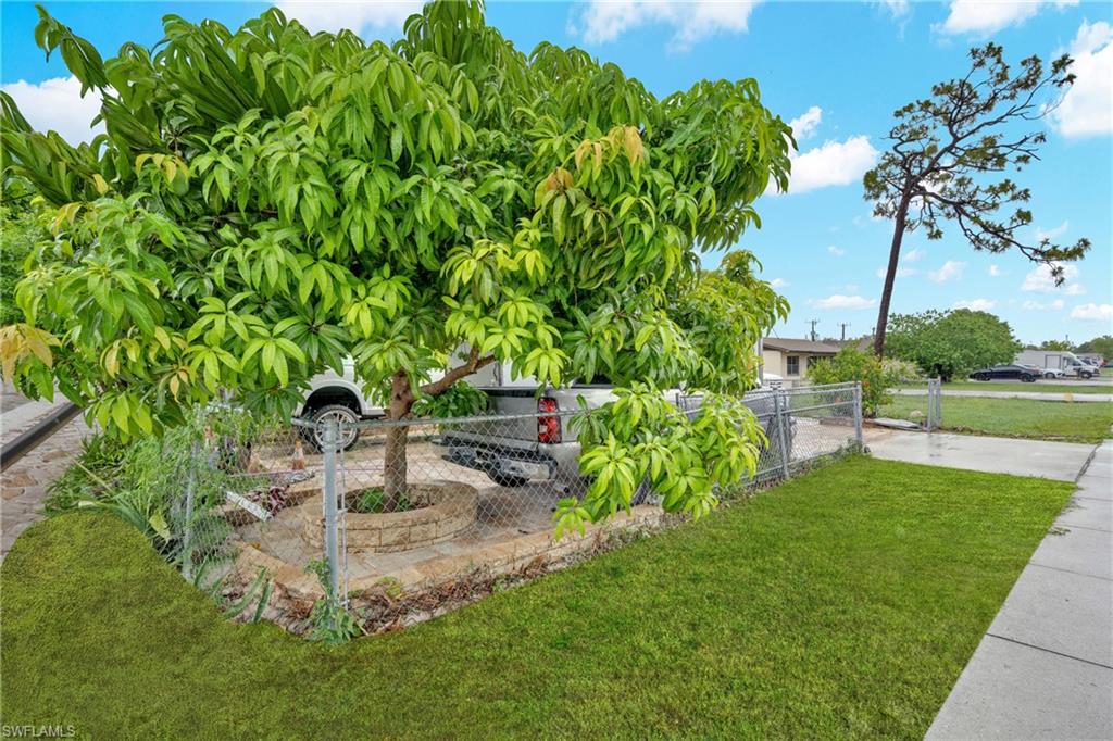 1847 Maple DR