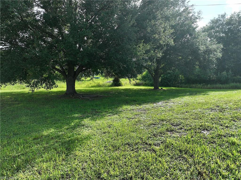 Expansive grassy lot featuring mature trees providing natural shade
