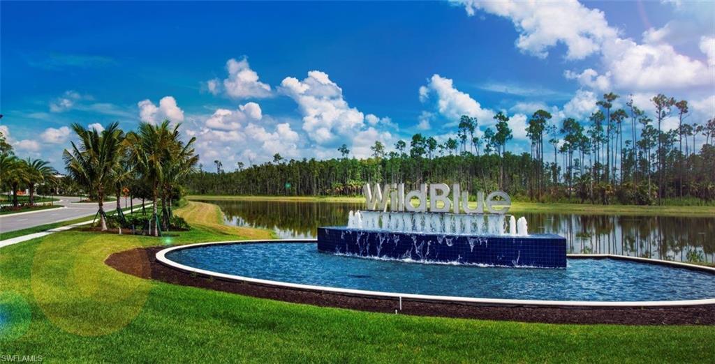 17211 Blue Sapphire DR photo 23