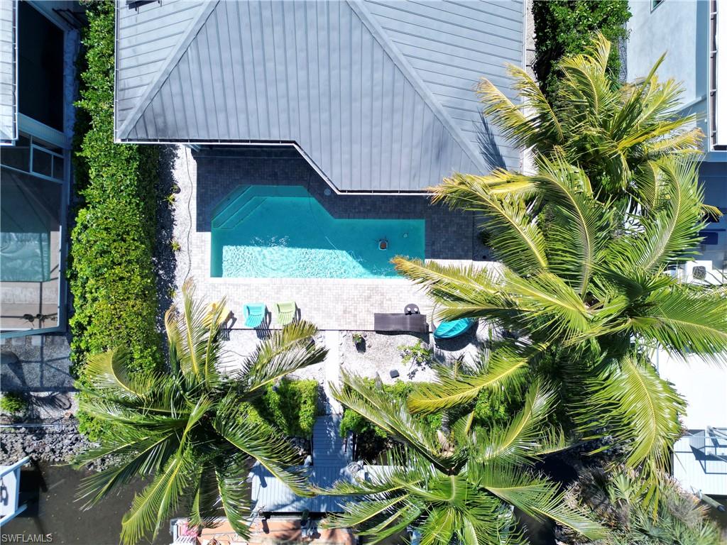 Outdoor swimming pool featuring a light-colored paver deck, lush green landscaping, mature palm trees, and a metal roof