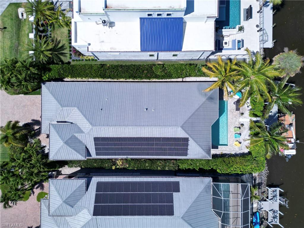 Property featuring a metal roof with solar panels, a rectangular swimming pool, and mature palm trees