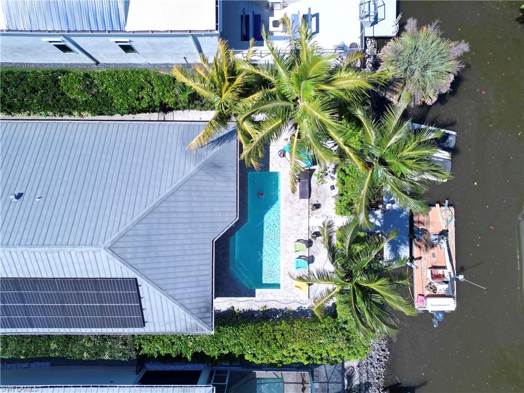 Property featuring a private swimming pool, concrete patio, lush landscaping, and mature palm trees