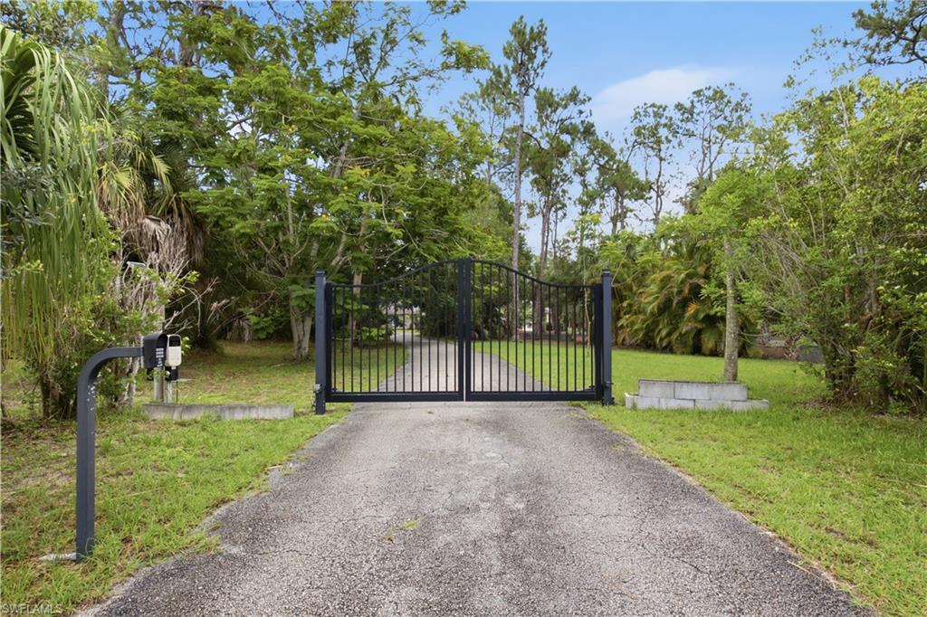 Gated property entrance featuring a paved driveway, wrought iron gates, and mature landscaping