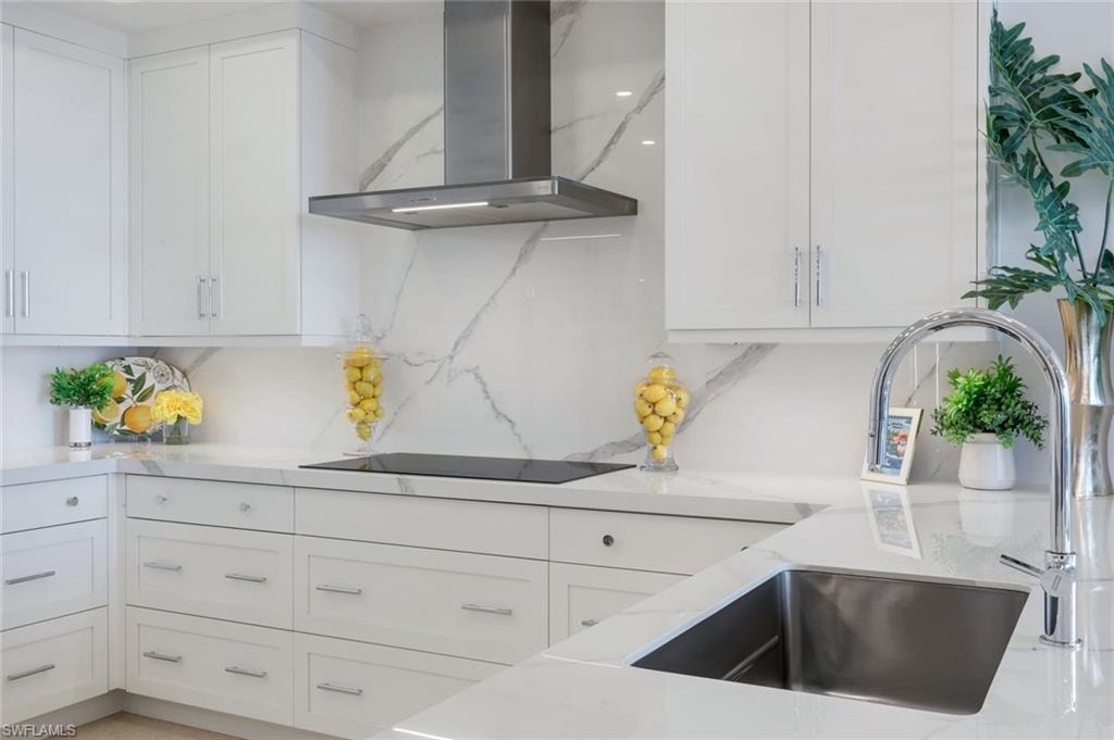 Induction Cooktop (Gas Available)