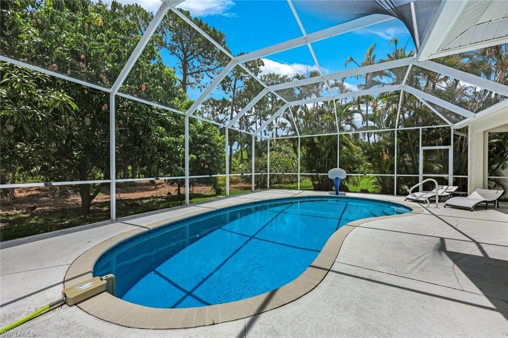 Swimming pool with a patio and a lanai