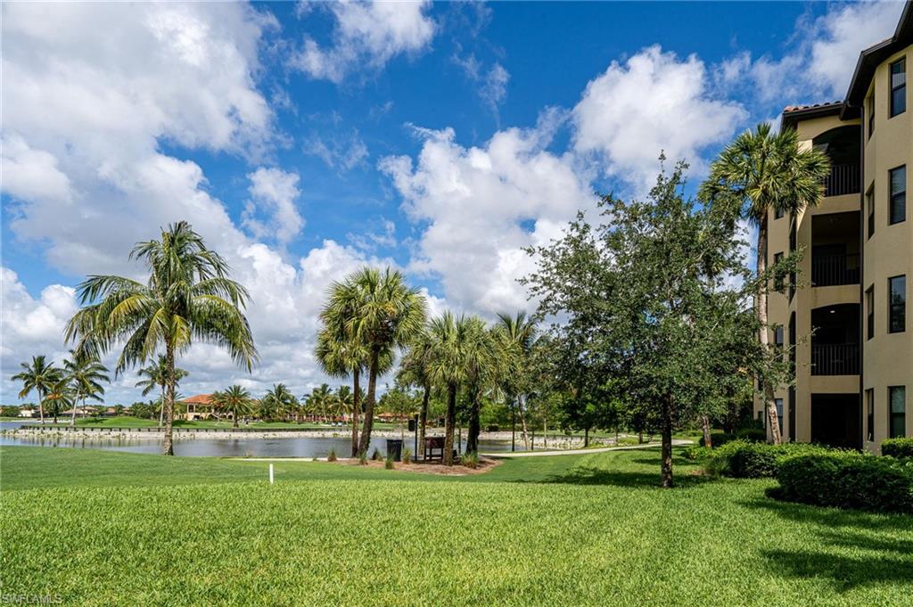 Lush green lawn with mature palm trees and established landscaping