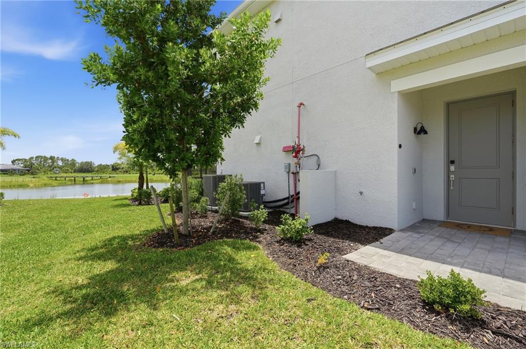 43258 Water Bird WAY 6011 photo 38