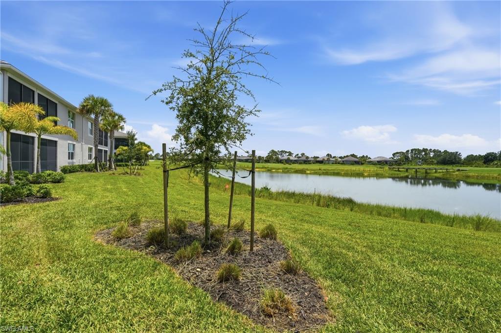 43258 Water Bird WAY 6011 photo 40