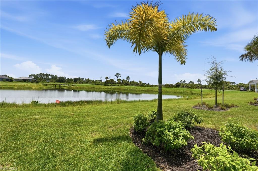 Expansive green lawn featuring a palm tree, natural water feature, and distant bridge