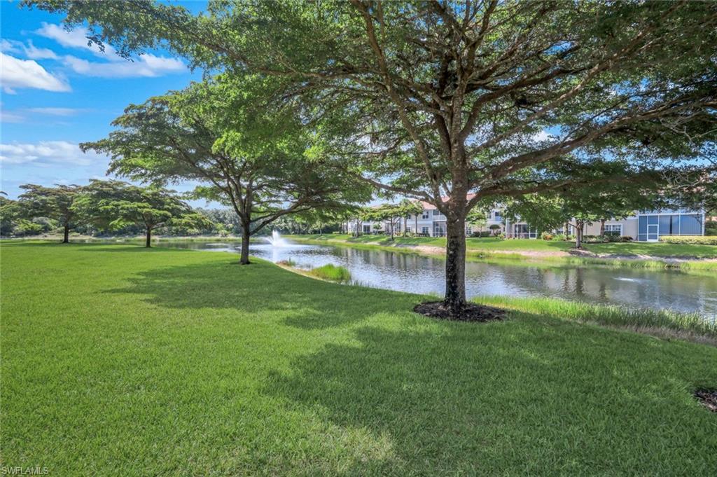 Peaceful park like view