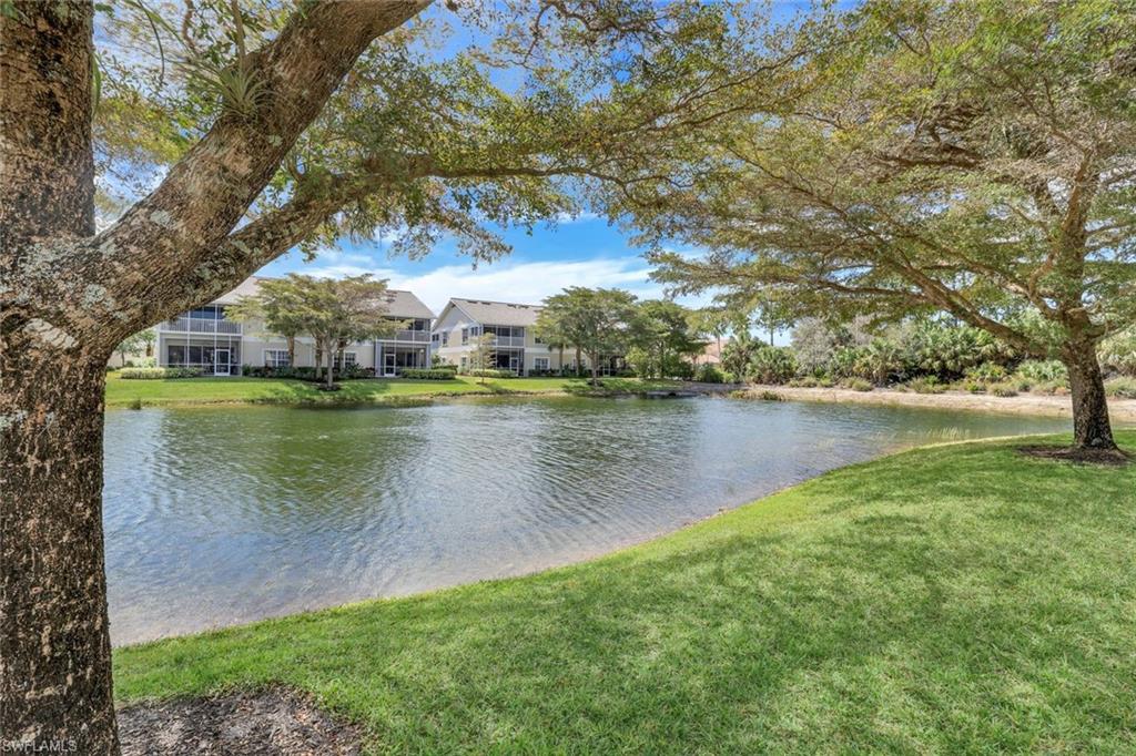 Lake views
