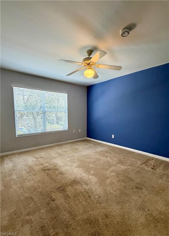 3618 Pine Oak CIR 105 photo 13