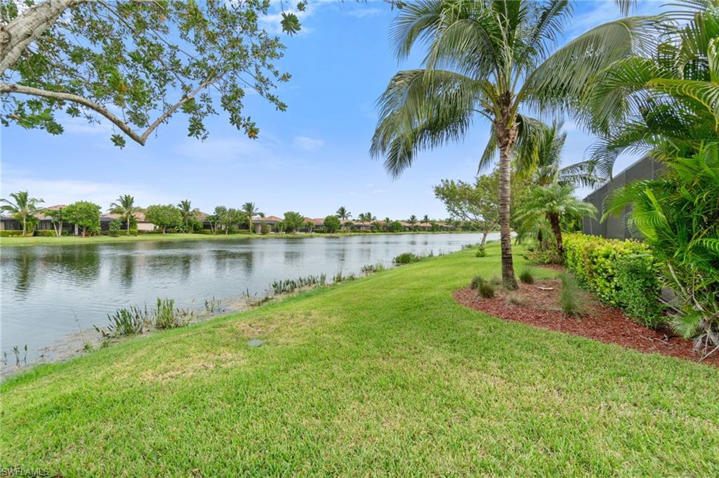 Waterfront landscaping featuring a manicured lawn, established palm trees, and mature shrubs