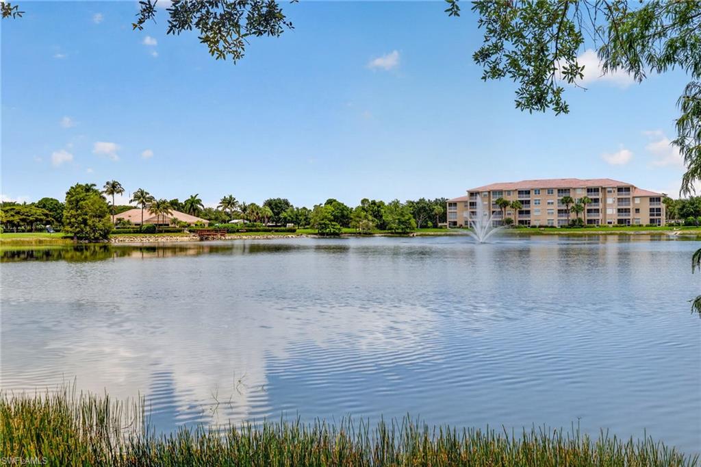 14091 Brant Point CIR 4308 photo 25