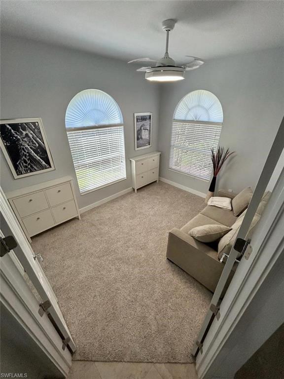 Den with new pullout sleeper sofa