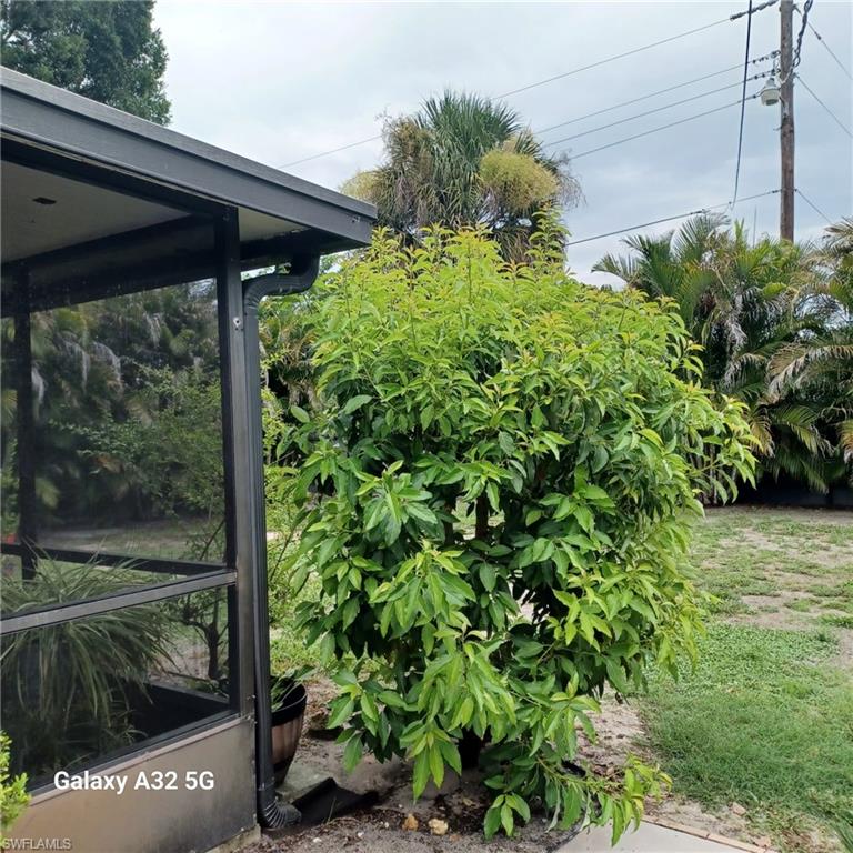 2324 Caladium RD photo 42