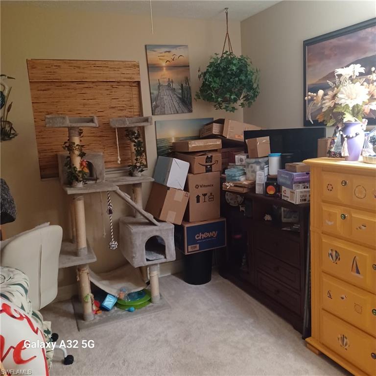 2324 Caladium RD photo 21