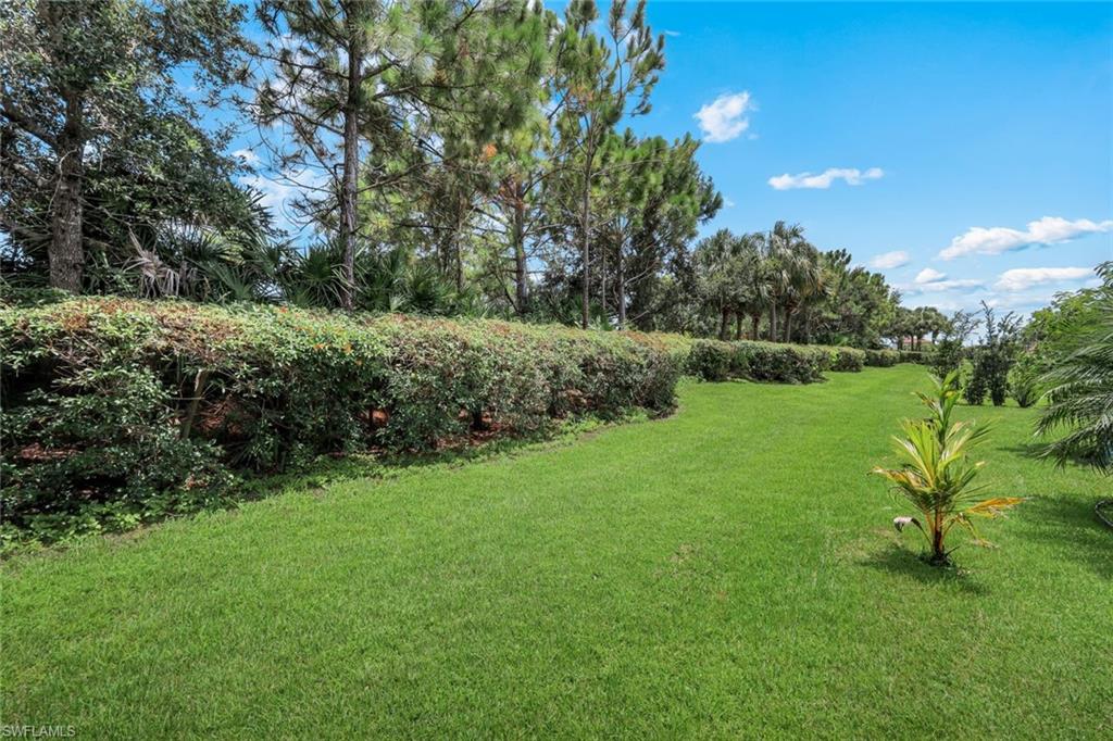 Expansive green lawn bordered by a sculpted hedge row and mature trees