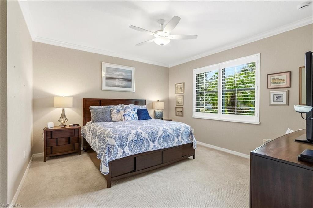 Carpeted room featuring a ceiling fan, crown molding, a window with plantation shutters, and neutral wall tones