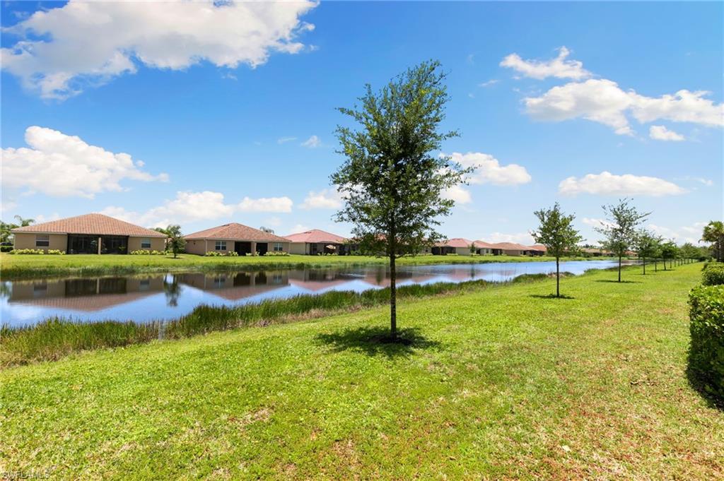 2878 Blossom WAY photo 25