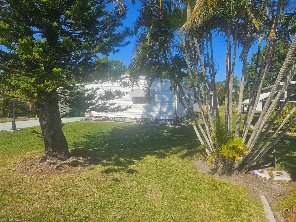 View of grassy yard