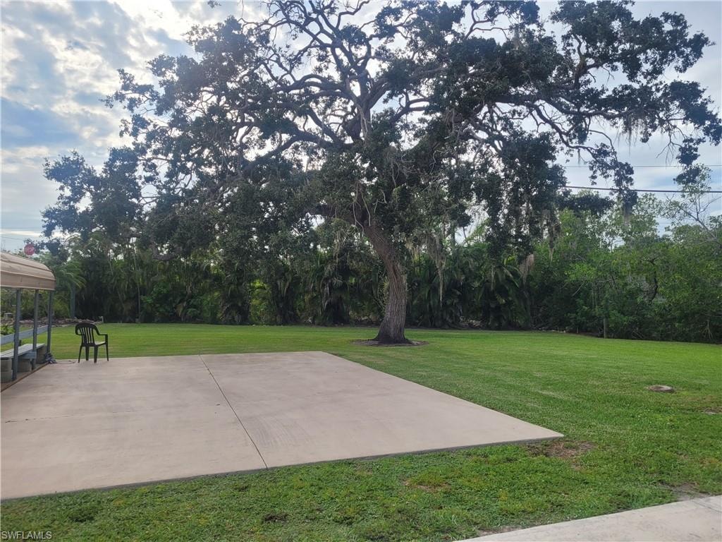 View of green lawn
