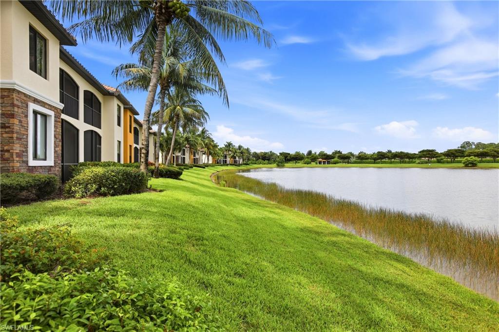 Back of Property