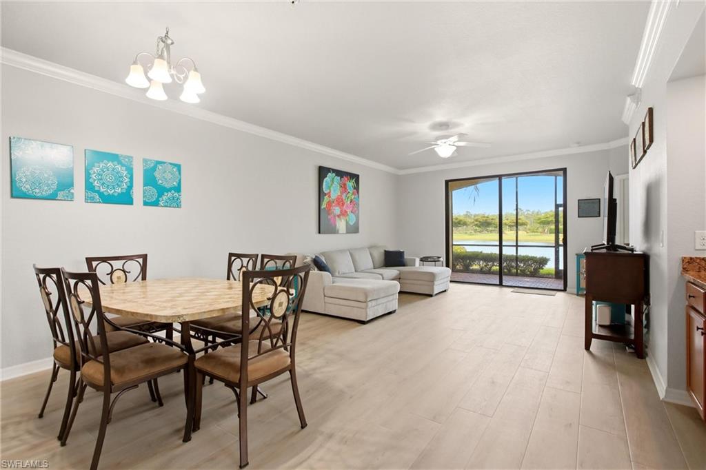 Main Living Space