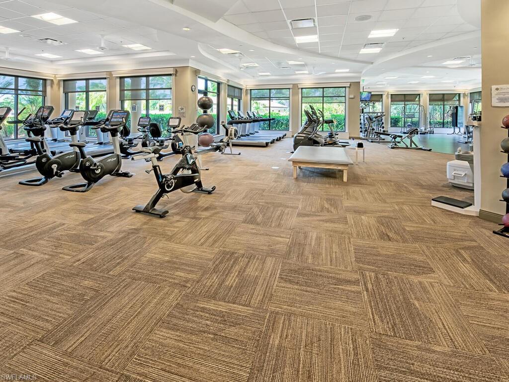 Gym with a paneled ceiling and light colored carpet