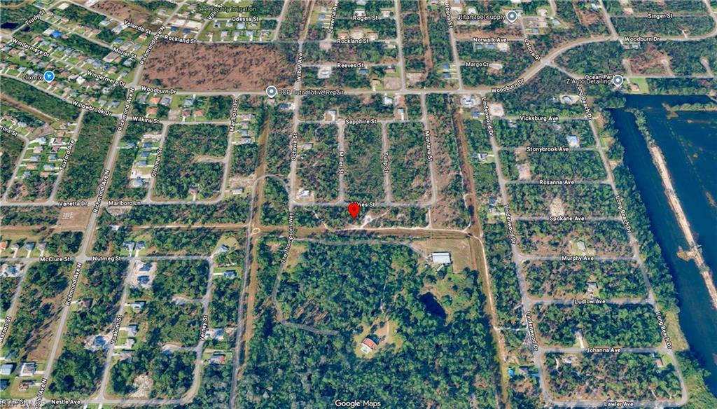 339 Mines ST photo 7