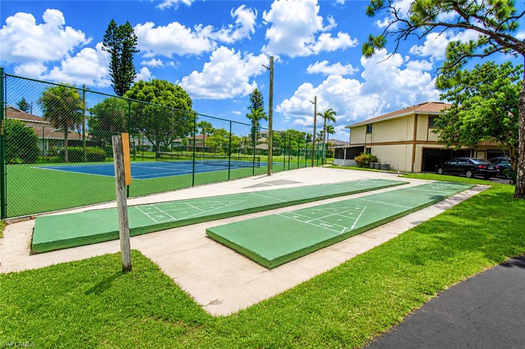 Shuffleboard