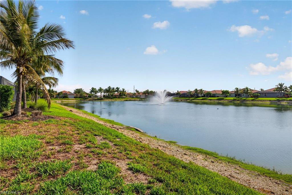Waterfront property featuring mature palm trees, a vibrant green grassy bank, and a prominent water fountain in the distance