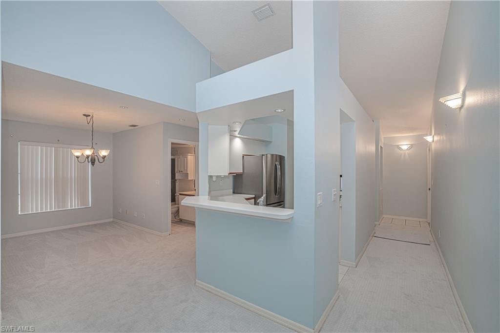 109 Wading Bird CIR 206 photo 6