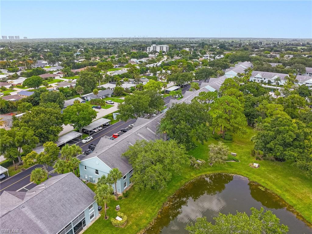 109 Wading Bird CIR 206 photo 36