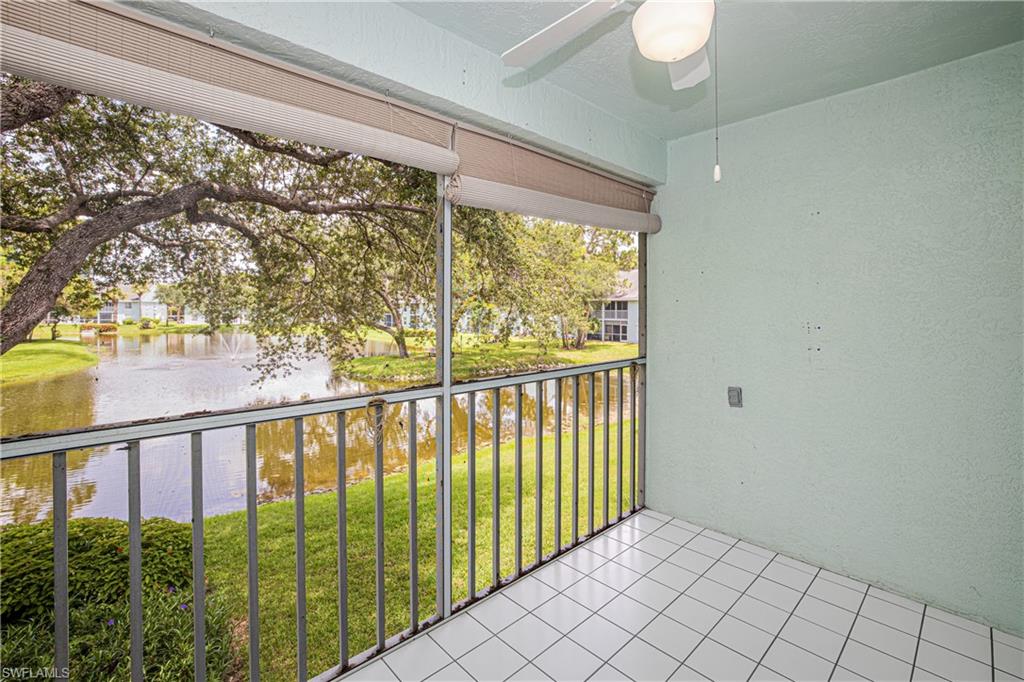 109 Wading Bird CIR 206 photo 28