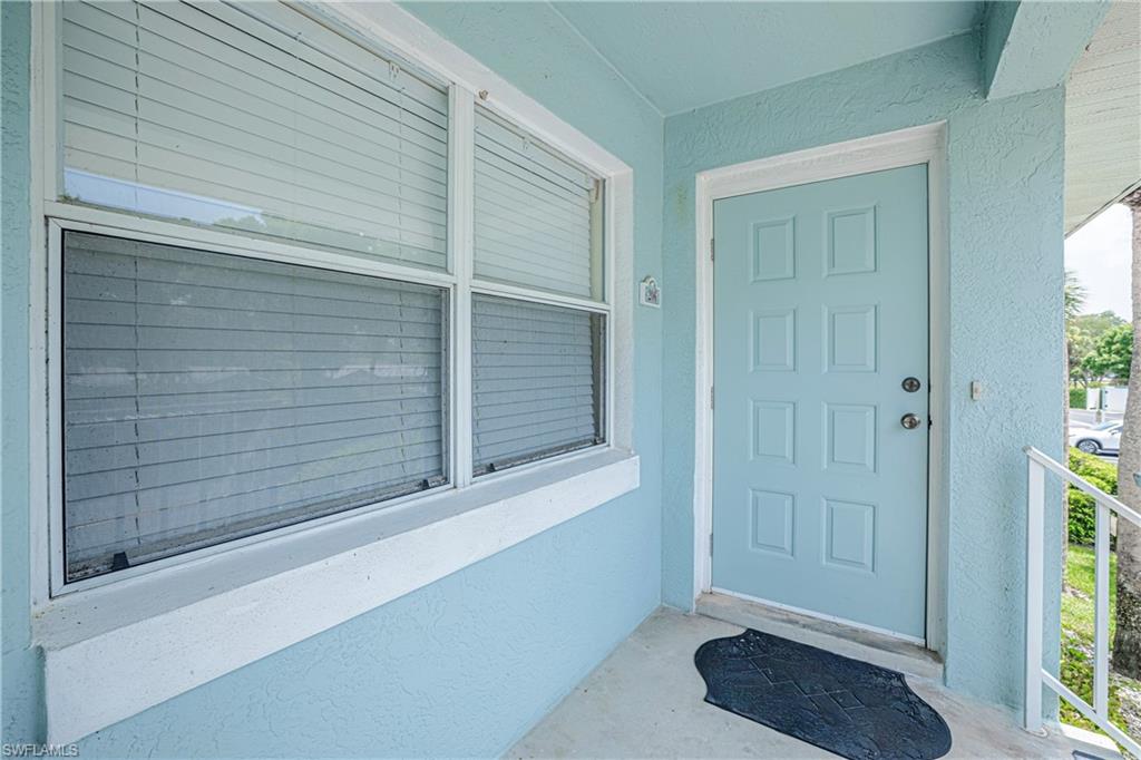 109 Wading Bird CIR 206 photo 38