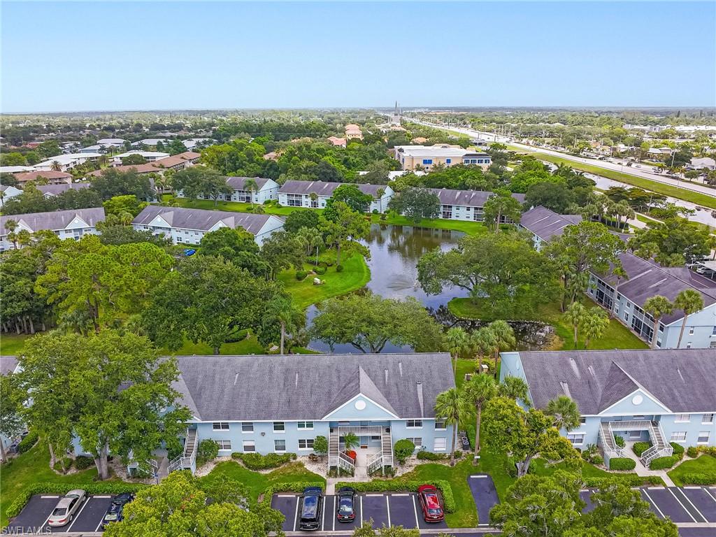 109 Wading Bird CIR 206 photo 33