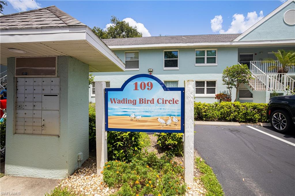 109 Wading Bird CIR 206 photo 37