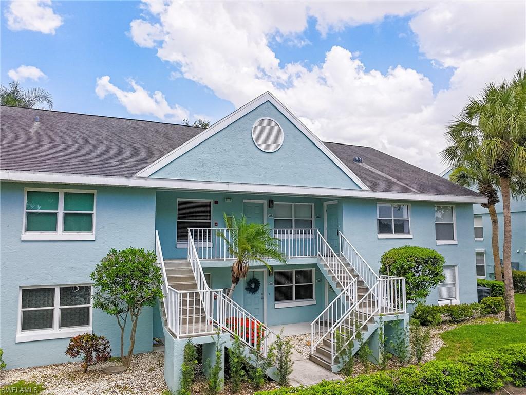 109 Wading Bird CIR 206 photo 29