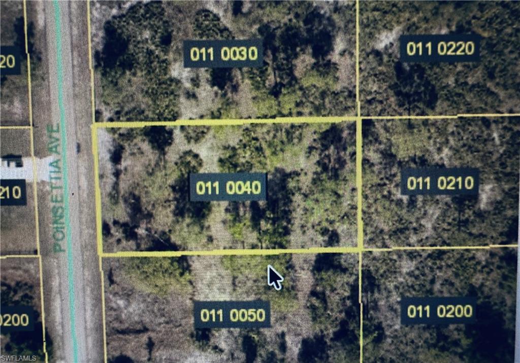 Property Parcel Map. Displaying the property and adjacent parcels with identification numbers